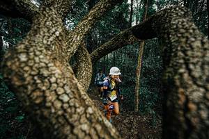 BIB: 
                            <button type="button" onclick="openModal(25393471)" class="btn btn-primary btn-sm float-right btn-popup" data-toggle="modal" data-target=".modal-high-quality">
                        <i class="fas fa-shopping-cart"></i> Add to Cart
                    </button>
                                            <button type="button" onclick="isThisMe(25393471, true)" class="btn btn-success btn-sm float-right btn-popup btn-isme hidden" data-toggle="tooltip" data-placement="bottom" title="นี่คือรูปของคุณใช่ไหม คลิกที่นี่เพื่อเอาเข้าอัลบั้ม">
                        <i class="fas fa-plus"></i> Add to album
                    </button>
                    <button type="button" onclick="isThisMe(25393471, false)" class="btn btn-warning btn-sm float-right btn-popup btn-isnotme hidden">
                        <i class="fas fa-ban"></i> Remove from album
                    </button>